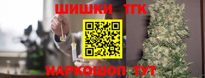 МДПВ Гусев