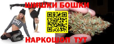 МДПВ Гусев
