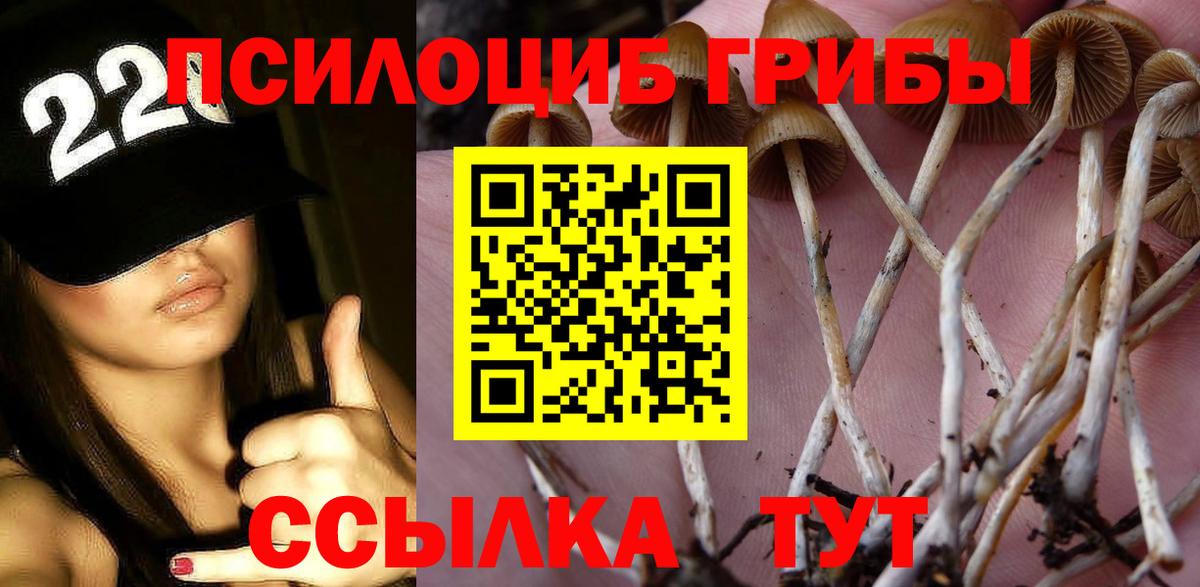 Галлюциногенные грибы GOLDEN TEACHER  Вход с VPN  Миллерово 