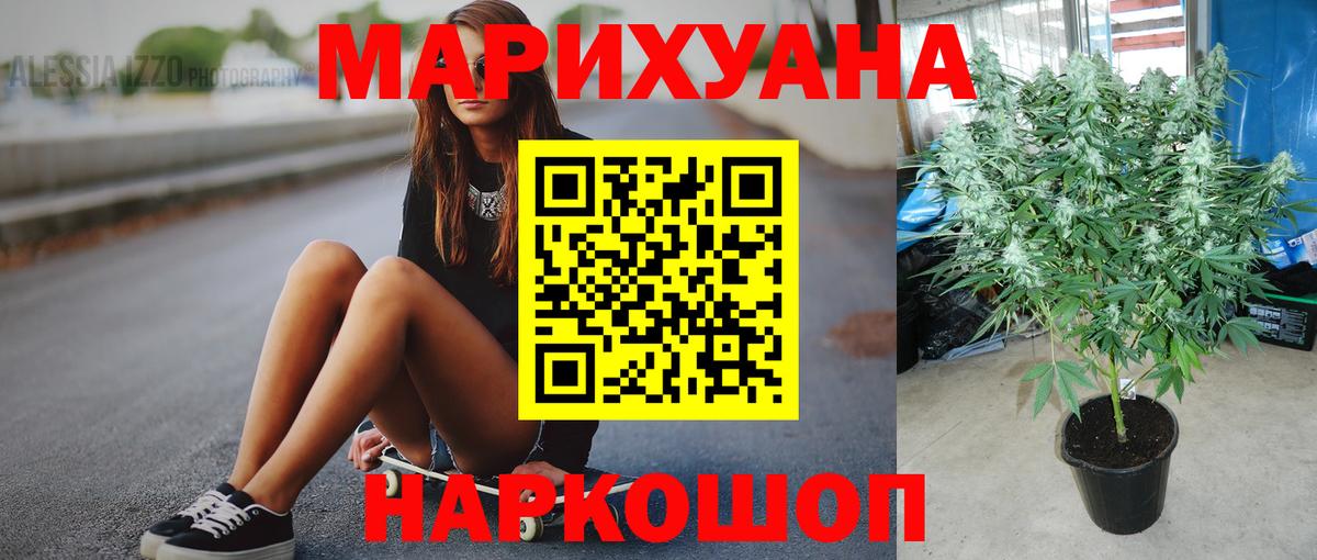 Шишки марихуана планчик Миллерово